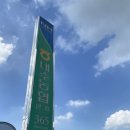 내수산경로당 | 2023년 여름방학 장기 한방의료봉사 후기