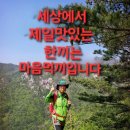 2024.10.4 금련산,황령산,행경산,청소년수련원,동의대 이미지