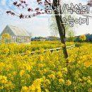 여기카페 | 전주 근교 김제 유채꽃 만발 카페 오늘여기 방문 후기