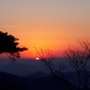 웰부동산중개사무소 이미지