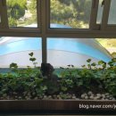 중문초등학교 병설유치원 이미지