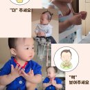 사인플래시
