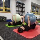 유레디 PT&PILATES | 매봉역 유레디 PT&amp;PILATES 에서 체형 측정한 후기