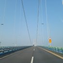 롯데쇼핑토이저러스대구주