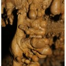 산호동509 이미지