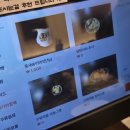 운양역 | 김포 운양역 맛집 청춘고깃집 김포운양점 솔직후기/깔끔한 고깃집 추천