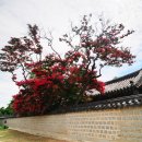경기전풍경