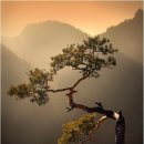 담음디자인
