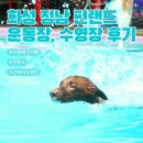 정문초 | [수원 강아지 수영장/운동장]화성 정남 펀랜드 후기