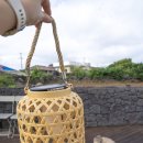 불밝히는집 | 🌕 제주 밤마당을 밝히는 작은 조명 – 테무 내돈내산 후기