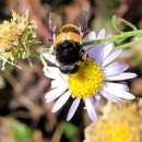 나비랑 바둑이 | 사랑의 지옥/ 유하