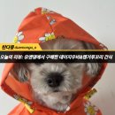 유앤댕 이미지