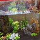 도봉-도봉-2088 이미지