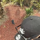 제주파인비치펜션 이미지