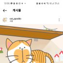 하우기획