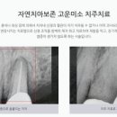 연세누가치과의원 이미지