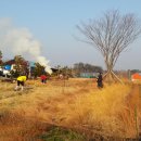 갈대정원 이미지