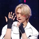 중마애견 | 새해 기록