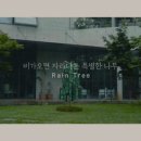 네파문정 이미지