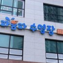 음파음파 수영장 이미지