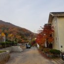 추계천 네이버블로그