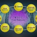 워터힐링 이미지