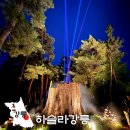 뉴스 미디어 세상 | 하슬라강릉 이머시브 아트쇼 주차 시간 위치 강릉 야간 볼거리
