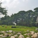 바우지움조각미술관 이미지