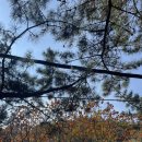 봉암북14길 이미지