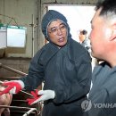 대선축산 이미지