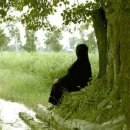 인더리버(In the river) 이미지