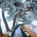 삼성숲공원 이미지