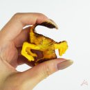 주식회사 신비 이미지