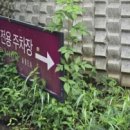 간송도로변 이미지