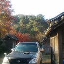 응봉농장 이미지