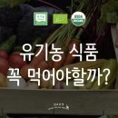 재식목장 | 유기농 식품? 유기농에 대한 모든 것