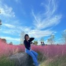 낙동강체육공원 2주차장 화장실 이미지