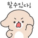 조나단 민박 네이버블로그