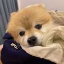 이층커피 이미지