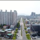 24호선 국도변 이미지