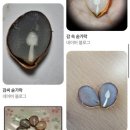 11590-마35-3 | 사랑에 아프지마