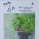 대구문집 Daum카페