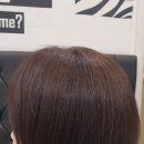 김호증모가발by헤어리서치