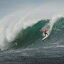 바다사람들 이미지