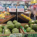 자이언트광고기획 | 이마트 수박 가격 총정리 (~7/15)