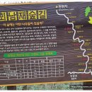 회남재 숲길 이미지