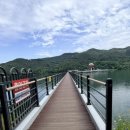 용산호호