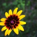 음악이있는공간 이미지