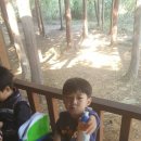 소계중앙체육관 이미지