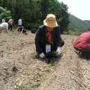 서상원 카카오 검색결과